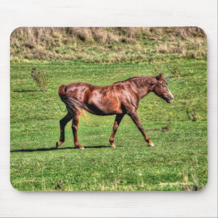 Mousepad Belo Design de Equino Animal do amante dos cavalos