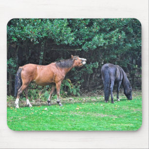 Mousepad Belo Design de Equino Animal do amante dos cavalos