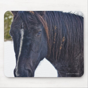 Mousepad Belo Design de Equino Animal do amante dos cavalos