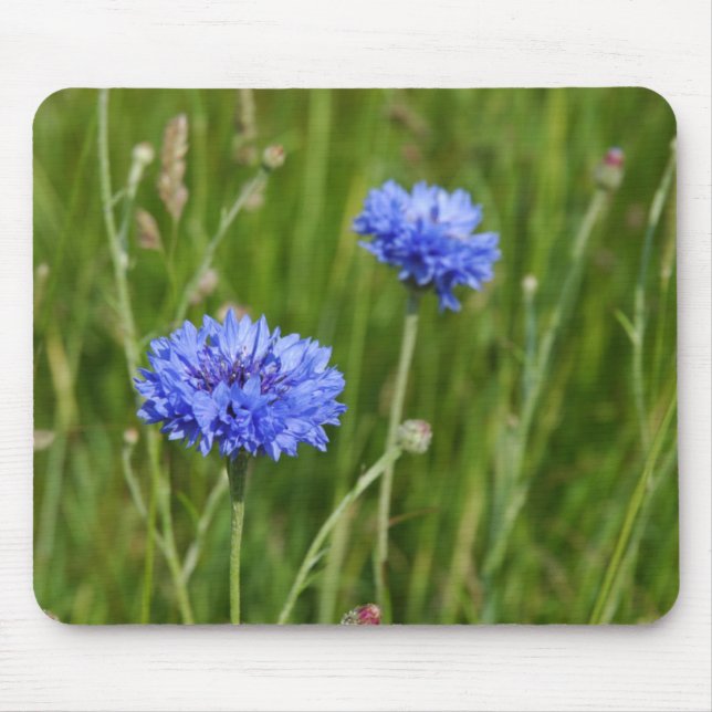 Mousepad Belo design de flor de prado azul (Frente)