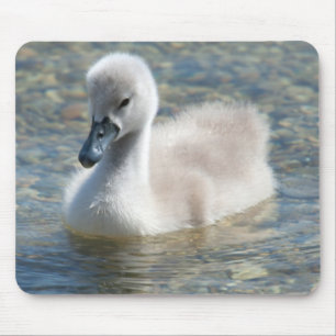 Mousepad Belo Duque de Cisne Mute