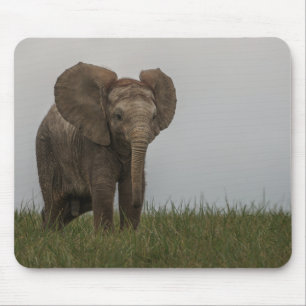 Mousepad Belo Elefante Africano Bush