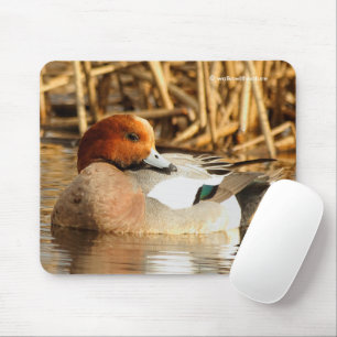 Mousepad Belo Estranho - Duque Eurasiano Wigeon no Pond