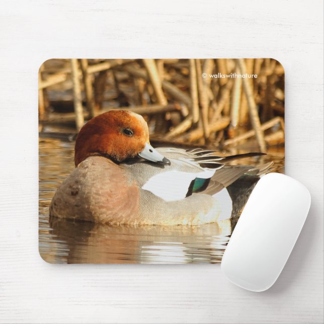 Mousepad Belo Estranho - Duque Eurasiano Wigeon no Pond (Com mouse)