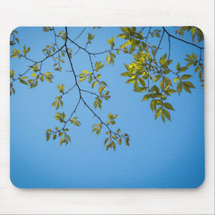 Mousepad belo galho com abraço verde e amarelo