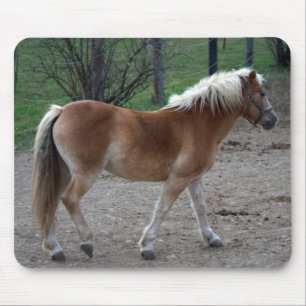 Mousepad Belo Haflinger