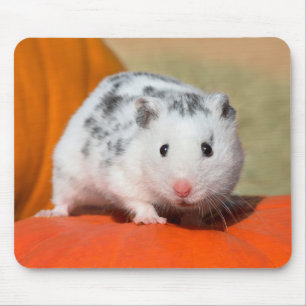 Mousepad Belo Hamster Sírio, Negro Encarado Engraçado