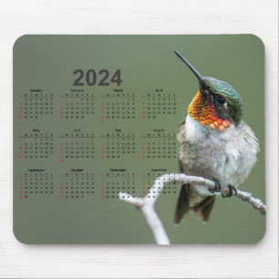 Mousepad Belo Hummingbird no Calendário do Branch 2024