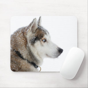 Mousepad Belo Husky Siberiano na neve