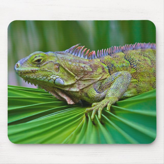 Mousepad Belo mouse Cheleon (Frente)