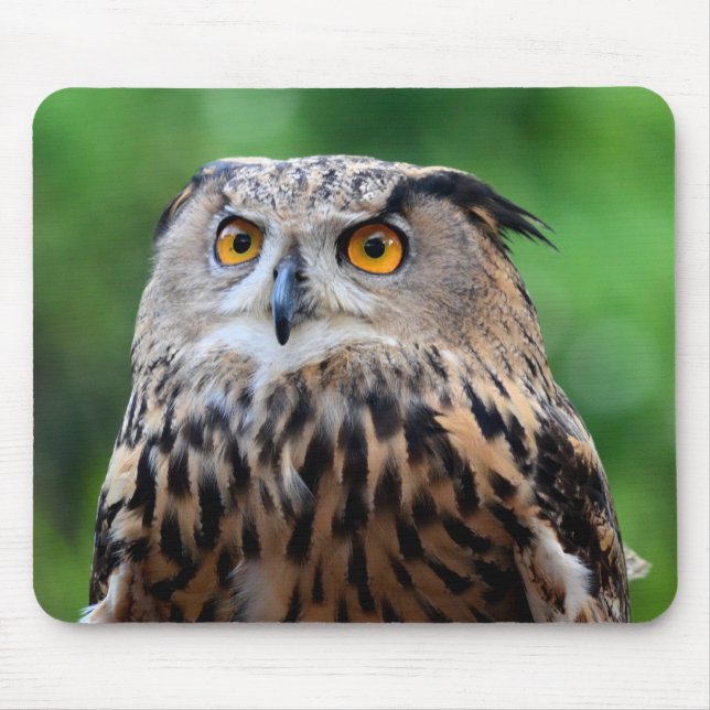 Mousepad Belo Mouse de Coruja (Frente)