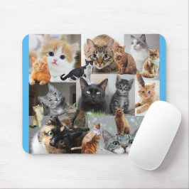 Mousepad Belo Mundo de Gatos e Gatinhos