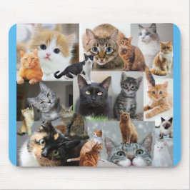 Mousepad Belo Mundo de Gatos e Gatinhos