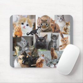 Mousepad Belo Mundo de Gatos e Gatinhos