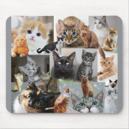 Mousepad Belo Mundo de Gatos e Gatinhos
