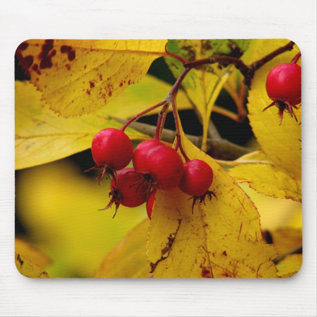Mousepad belo muro de outono (Frente)