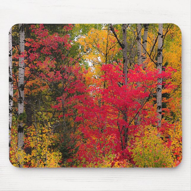 Mousepad Belo Outono no Canadá. (Frente)