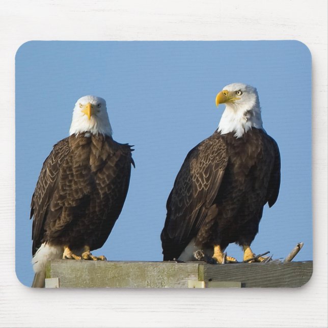 Mousepad Belo Pad de Mouse Eagles (Frente)