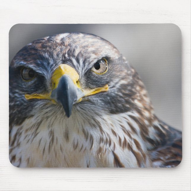 Mousepad Belo Pad De Rato De Águia (Frente)
