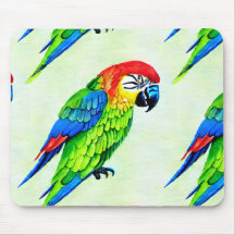 Belo Padrão Colorido de Papagaio