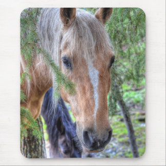 Mousepad Belo Palomino Tintas Cavalos e Ramificações em Chu