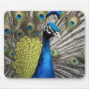 Mousepad Belo Pavão