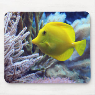 Mousepad Belo Peixe Amarelo Amarelo e Coral