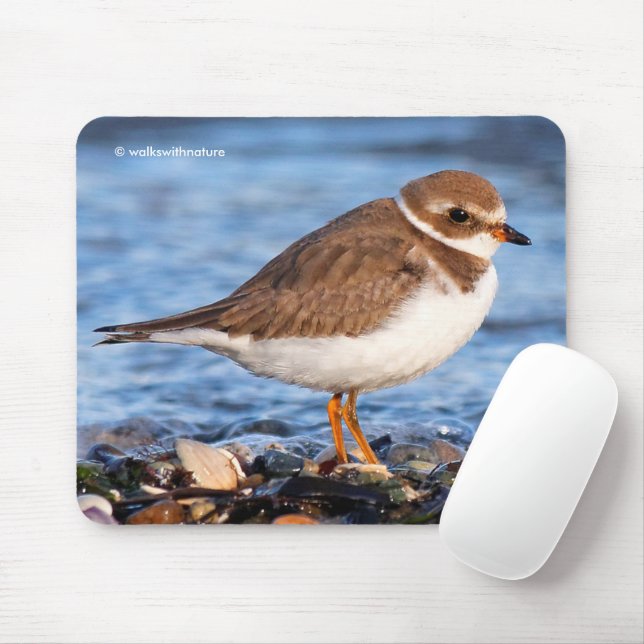Mousepad Belo Plover Semipalmado em Praia (Com mouse)