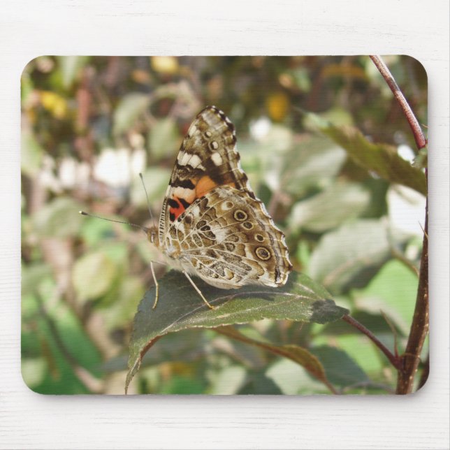 Mousepad Belo rato de borboleta (Frente)
