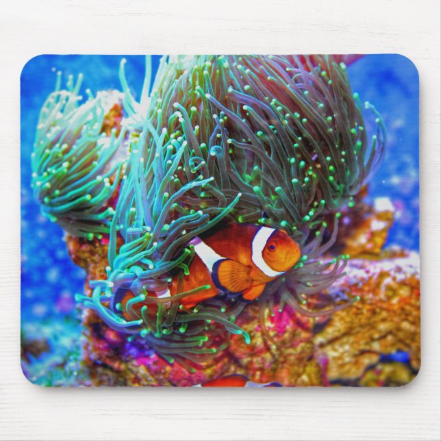 Mousepad Belo recife de coral com peixe-palhaço (Frente)