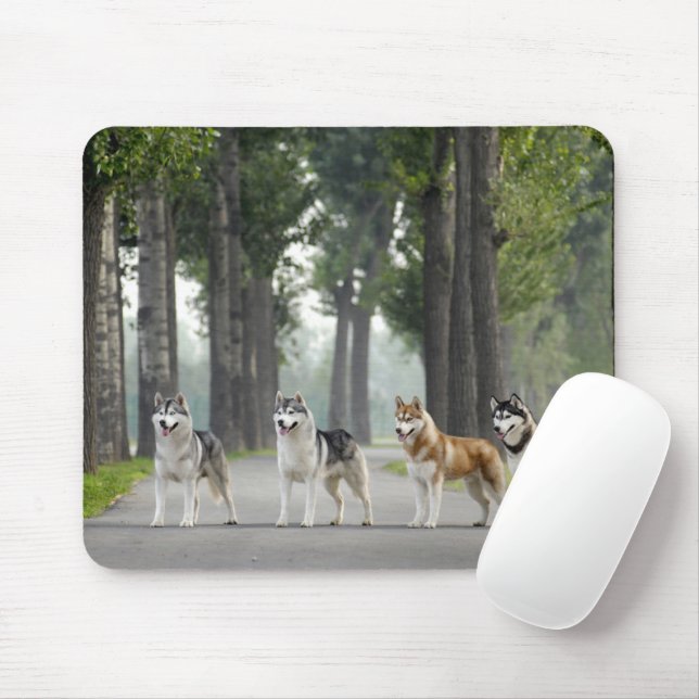 Mousepad Belo Rouco Cães em um Caminho da Natureza (Com mouse)