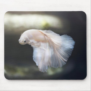 Mousepad Belo Siamês Branco Betta Lutando Peixes