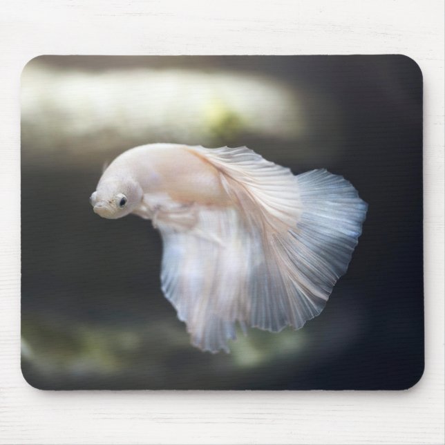 Mousepad Belo Siamês Branco Betta Lutando Peixes (Frente)