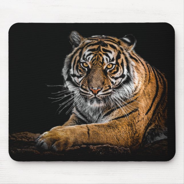 Mousepad Belo Tigre com Fundo Negro (Frente)