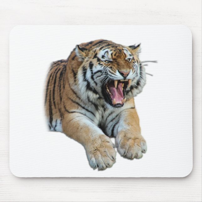 Mousepad Belo Tigre de Bengala Rosto e Dentes Foto (Frente)