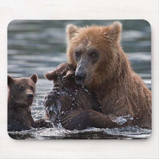 Mousepad Belo Urso e Seus Filhos (Frente)