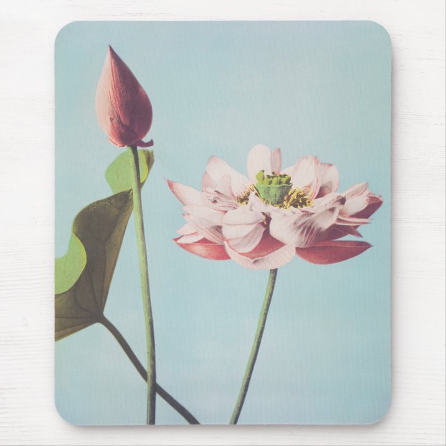 Mousepad Belos impressões fotomecânicos das Flores de Lotus (Frente)