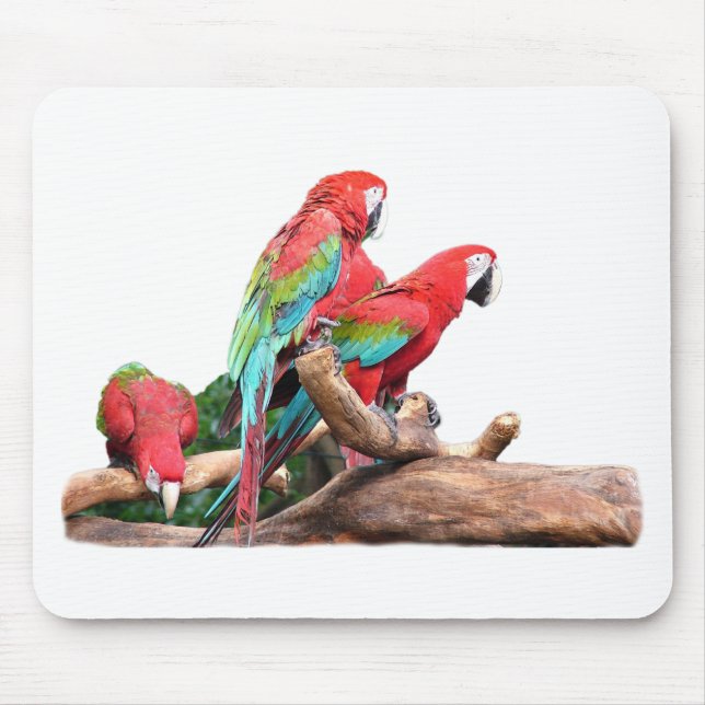 Mousepad belos papagaios vermelhos e azuis (Frente)