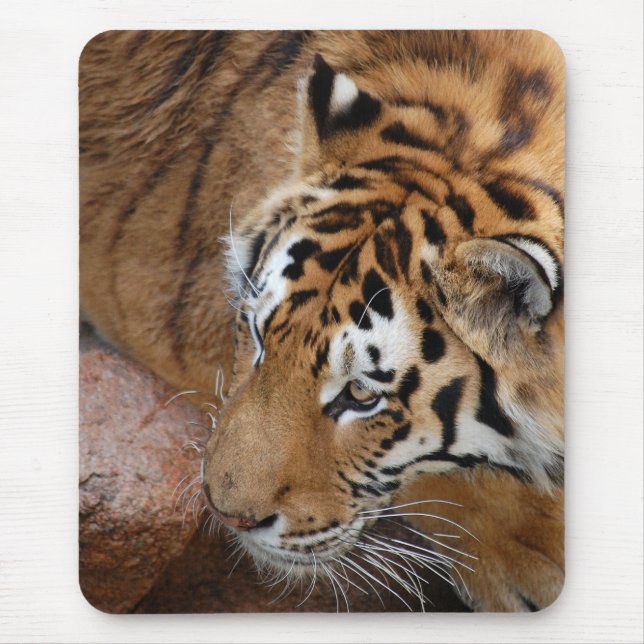 Mousepad Bengal Tiger (Frente)