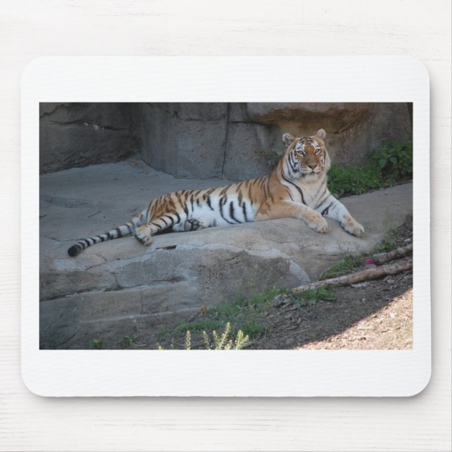 Mousepad Bengal Tiger (Frente)