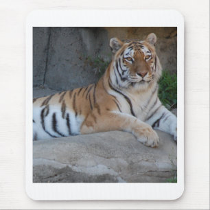 Mousepad Bengal Tigers