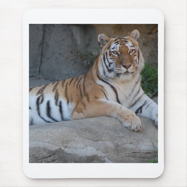 Mousepad Bengal Tigers (Frente)