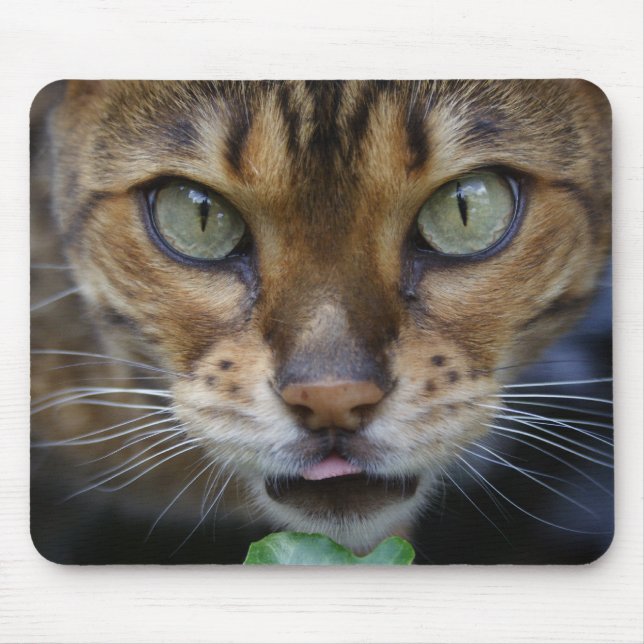 Mousepad Bengala Cat (Frente)