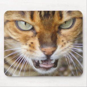 Mousepad Bengala Cat