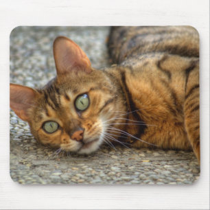Mousepad Bengala Gato