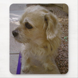 Mousepad Benji