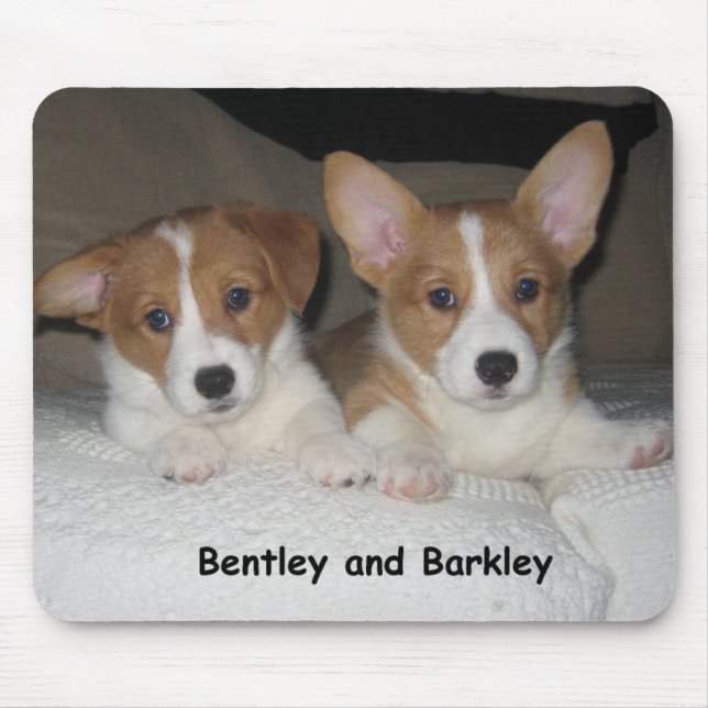 Mousepad Bentley & Barkley (Frente)