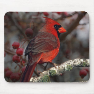 Mousepad Berries brancos Cardeal Vermelho Primitivo de Nata