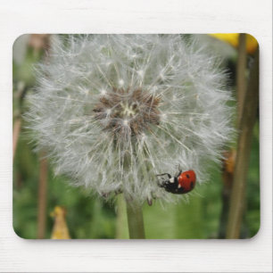 Mousepad besouro de senhora - joaninha no dente-de-leão