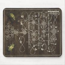 Besouro e escaravelho de Mira Calligraphiae